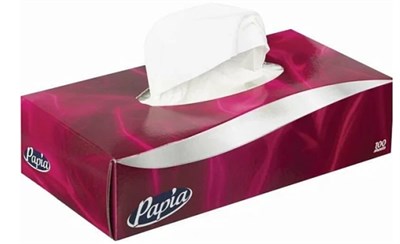 Салфетки для лица PAPIA 2сл./100шт/24 бл. в уп. ББ02188