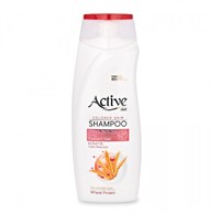 ACTIVE ИРАН / Шампунь для окрашенных волос CARE & BEAUTY. С кератином и пшеничным протеином, 350 мл ББ01310