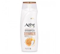 ACTIVE ИРАН / Шампунь восстанавливающий для поврежденных волос CARE & BEAUTY, 350 мл х 12 ББ01312