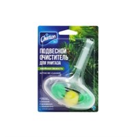 Подвесной блок для унитаза Chirton Хвойная Свежесть 45 г 4670013302949