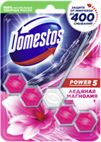Подвесной блок для унитаза Domestos Power 5 Ледяная магнолия 55 г 8710447326008