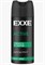 EXXE MEN мужской дезодорант спрей ACTIVE, 150 мл/12 С0008354