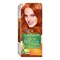 Краска для волос Garnier Color Naturals оттенок 7.40 Пленительный Медный 3600541264939